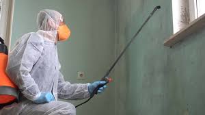 Professional Mold Remediation in Bangor, PA